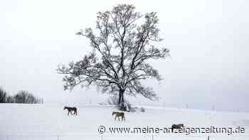 Wintereinbruch in Südhälfte Deutschlands
