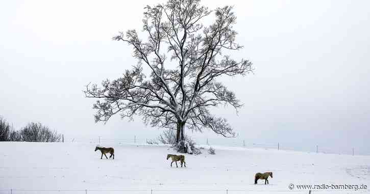 Wintereinbruch in Südhälfte Deutschlands