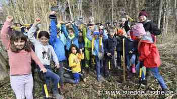 Nachwuchs für die "schöne Else" - Starnberg - SZ.de - Süddeutsche Zeitung - SZ.de