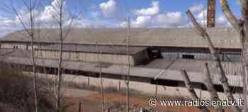 Fornace Arbia e ciminiera, Comune di Asciano intima la messa in sicurezza: “Condizioni sempre più gravi” - RadioSienaTv