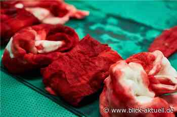 Remagen: 25-Jähriger nach Feier niedergeschlagen - Blick aktuell