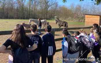"Emozioniamoci" con il Club Satellite Ispra Verbanus del LC Maggiolini - Sempione News