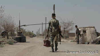 Al Cinema Massimo, il regista Marco Pasquini presenta in sala "La guerra che verrà" - TorinOggi.it