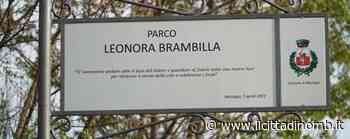 Vittima di femminicidio, a Mezzago un parco e una camelia bianca per Leonora Brambilla - Il Cittadino di Monza e Brianza