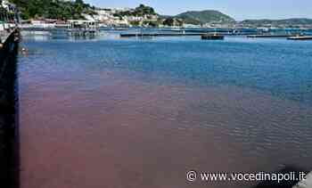 Bacoli, il mare sta diventando rosso: cosa sta accadendo - Voce di Napoli