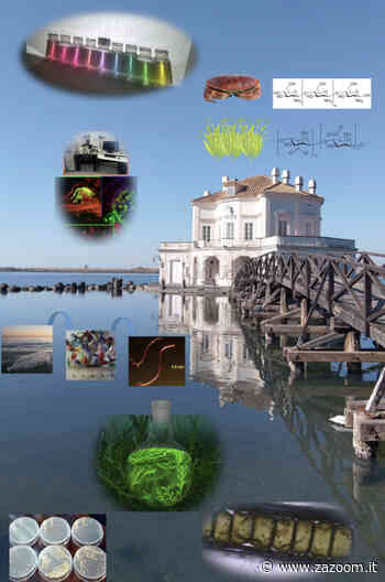 BaRiCeNtRo | Bacoli incontra la Ricerca del CNR - Zazoom Blog