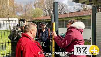 Tierheim Peine baut Zäune für Quarantänehunde aus der Ukraine