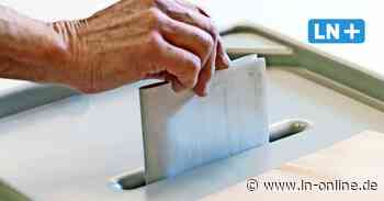 Landtagswahlen: Diese Segeberger wollen über ein Direktmandat nach Kiel - Lübecker Nachrichten