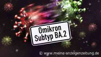 Omikron: So schnell und so oft kann sich erneut mit Corona infiziert werden