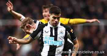 Alan Shearer raves about Newcastle United star Bruno Guimaraes - Chronicle Live