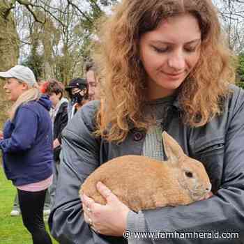 The farmyard comes to UCA Farnham to mark University Mental Health Day | farnhamherald.com - Farnham Herald