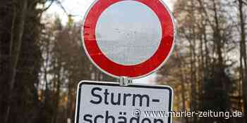 Marl: Radwegsanierung verschiebt sich wegen Sturmschäden - Marler Zeitung