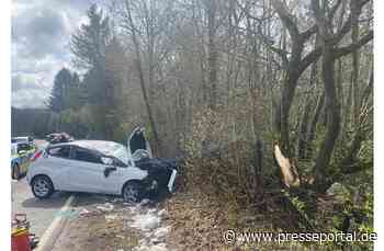POL-PDPS: Lemberg - Tödlicher Verkehrsunfall