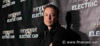 "Stirbt Twitter?" Elon Musk stellt kurz nach Twitter-Einstieg Frage zum Überleben der Plattform