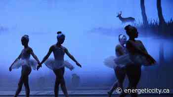 Dawson Creek non-profits awarded multiculturalism grant awards - Energeticcity.ca