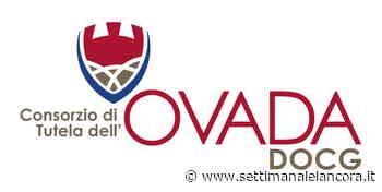 Il Consorzio Ovada Docg al 54º Vinitaly - L'Ancora