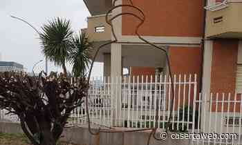 Arte In Citta', il Maestro Giovanni Tariello dona una sua opera a Casagiove | - CasertaWeb