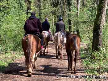 Tanti eventi per il week-end di Artena, Colleferro, Velletri e Valmontone - La Nuova Tribuna