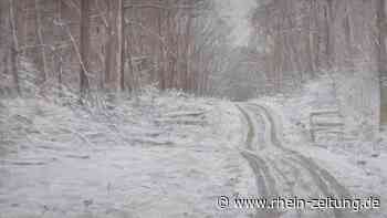 Das Gefühl im Bild: Kunsthalle Koblenz zeigt Werke des Malers Andreas Bruchhäuser - Rhein-Zeitung