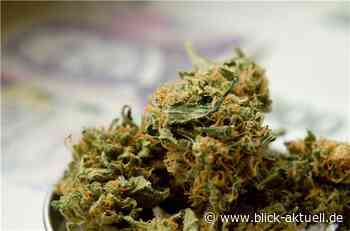 Kreis Mayen-Koblenz: Umfangreicher Drogenhandel aufgeflogen - Blick aktuell