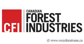 GreenFirst to restart second machine at Kapuskasing Paper Mill - Wood Business - Canadian Forest Industries