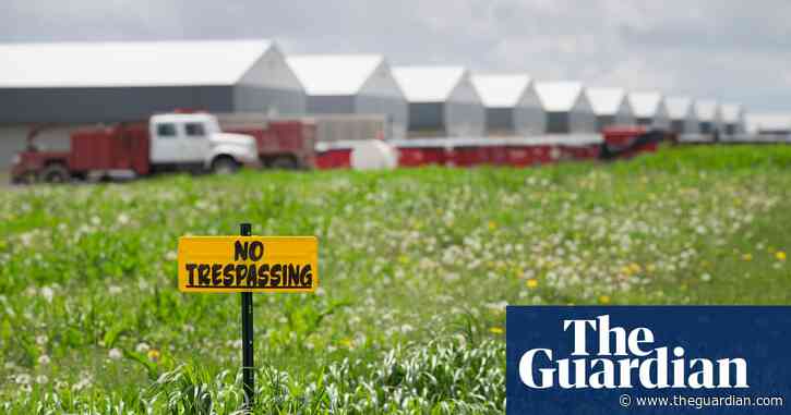 Millions of bird deaths as US hit by avian flu outbreak