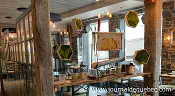 Café Hortus: du jardin à l’assiette!