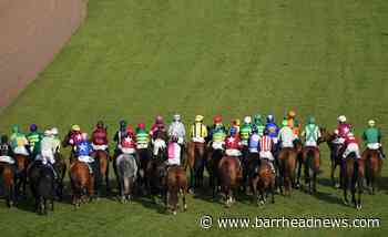 Complete Grand National finishing order as Noble Yeats wins the race - Barrhead News
