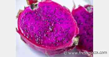 Transport along Sino-Vietnamese railroad increased by 30% in the first quarter of 2022 - FreshPlaza.com