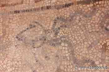 Domenica delle Palme a Bari: riti, tradizioni e storia. E la seppia nel mosaico di Timoteo - Telebari