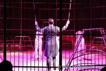 Bari, proteste contro il circo da 100 animali. Lav: “Chiediamo controlli del Comune” - Borderline24.com