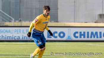 Andria, Di Bari: "Fondamentale dare continuità. Catania? Cambierebbe tutto ma non ne abbiamo parlato" - TuttoCalcioPuglia.com