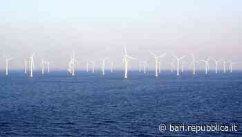 Energia, progetto per parco eolico tra Bari e Barletta: previste 80 turbine in mare - La Repubblica
