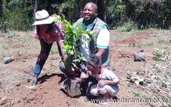 Eldowas leads tree-planting fete at the expansive Kaptagat Forest - The Standard