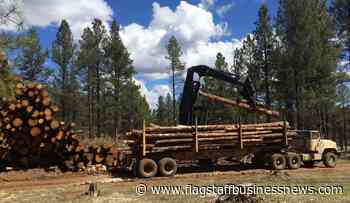 Contractors Frustrated with Forest Thinning Process - Flagstaff Business News