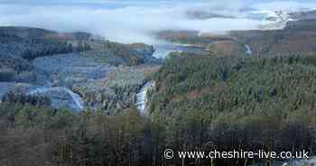 Disease sweeps through Macclesfield Forest and 1,000s of trees may need chopping down - Cheshire Live