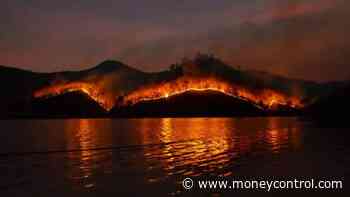 One year of Similipal forest fire: The hits and misses - Moneycontrol