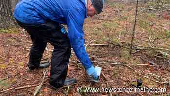 Maine forest study helping track new populations of deer ticks - NewsCenterMaine.com WCSH-WLBZ