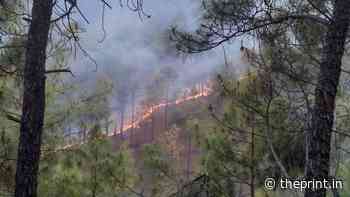 10-fold rise in intense forest fires in India from 2000 to 2019, study points to climate change - ThePrint