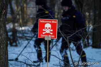 Russian troops dug trenches in Chernobyl's highly radioactive 'red forest' - New York Post