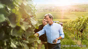 Testamentsvollstrecker einsetzen? Rechtsanwalt Dr. K. Jan Schiffer erklärt, was Erblasser wissen müssen - Merkur.de