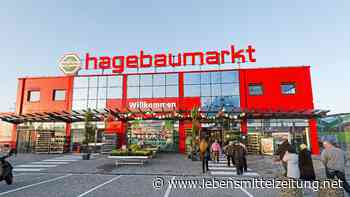 Omnichannel: Hagebau vernetzt Order-Management - Lebensmittel Zeitung