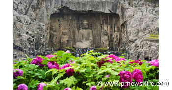 Xinhua Silk Road : Lancement des activités de streaming en direct sur le thème de la pivoine à Luoyang, dans la province du Henan, en Chine centrale