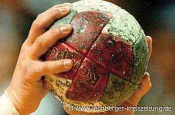 Handball - SV-Coach will das Maximale - Leonberger Kreiszeitung