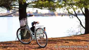 Ottawa weather: Sunny morning with a risk of showers in the afternoon - CTV News Ottawa