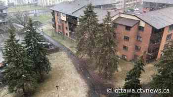 Mix of snow and rain on Friday in Ottawa - CTV News Ottawa