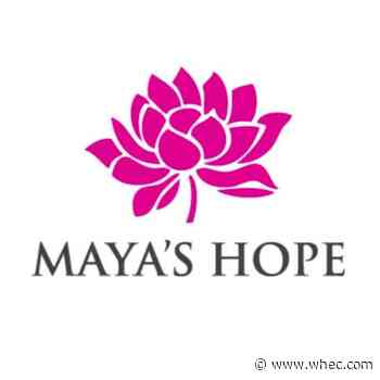 Maya's Hope Sunday brunch for Ukraine