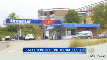 Health officials encouraging further testing in Corner Brook amid small cluster - ntv.ca - NTV News