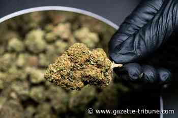 Exhale's Delta-8 Flower Review: Top Brand To Buy Premium Delta 8 THC Flower Products Online| Smokable Hemp Flower, Marijuana Strains & Weed Buds Of Organic Hemp-Extract| Highest THC Strains Of 2022 - Okanogan Valley Gazette Tribune