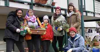 Bonn: Bepflanzte Balkonkästen für ein grüneres Mackeviertel - General-Anzeiger Bonn